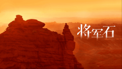 正在选购时能够按照本人的时间和预算选择合适